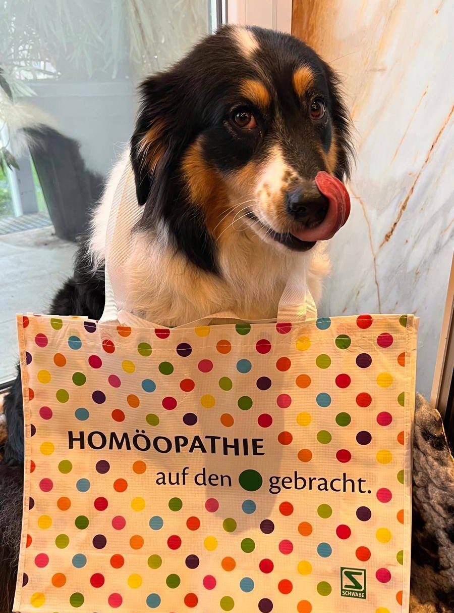 Auch 2026 dürfen wir uns wieder auf unsere Jahrestagung der Österreichischen Gesellschaft für Veterinärmedizinische Homöopathie freuen. Die Tagung findet von 9. bis 11. Oktober 2026 erneut im At the Park Hotel in Baden bei Wien statt – einem bewährten und geschätzten Rahmen für fachlichen Austausch und persönliche Begegnungen.