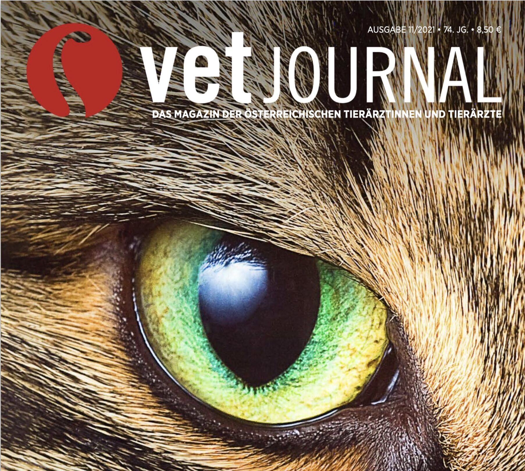 Das aktuelle Vet Journal berichtet …