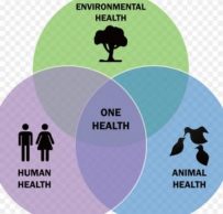 EU-gefördertes Forschungsprojekt im Sinne von One Health – eine Gesundheit von Mensch und Tier