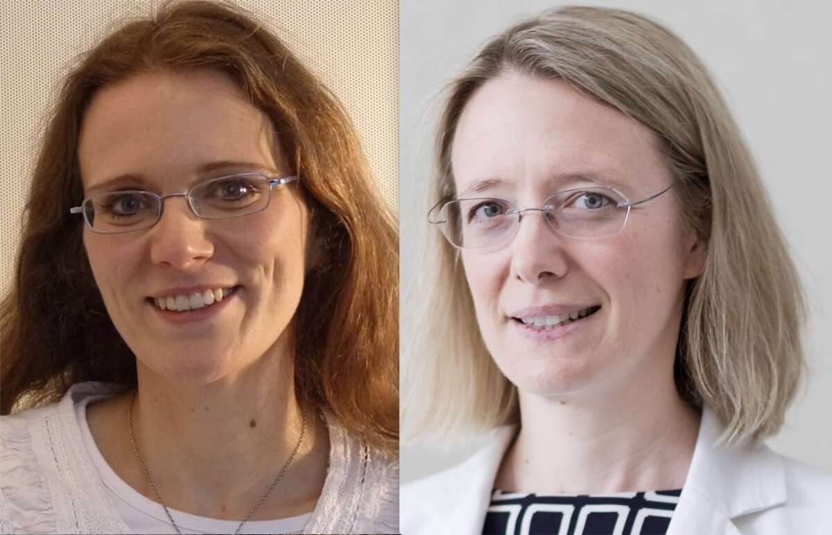 Teil Vier der kostenlosen Vortragsreihe „Allgemeine Homöopathie” 2022/23