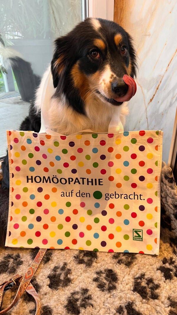 Auch 2026 dürfen wir uns wieder auf unsere Jahrestagung der Österreichischen Gesellschaft für Veterinärmedizinische Homöopathie freuen. Die Tagung findet von 9. bis 11. Oktober 2026 erneut im At the Park Hotel in Baden bei Wien statt – einem bewährten und geschätzten Rahmen für fachlichen Austausch und persönliche Begegnungen.